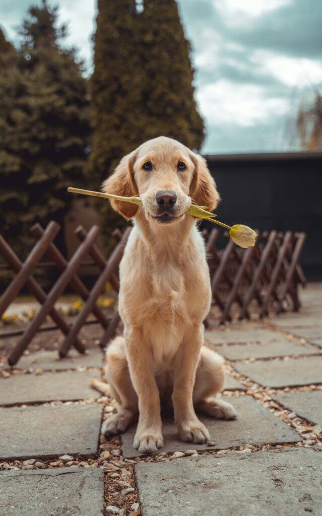 nnnnnn