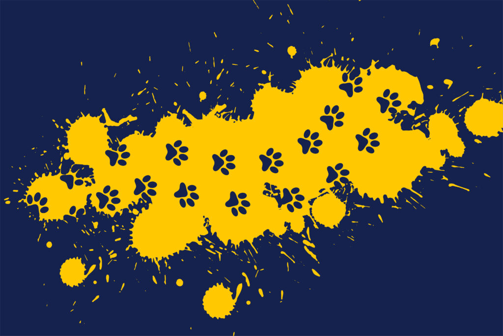 paw print per trace on splatter background
